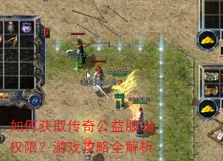 如何获取传奇公益服GM权限?游戏攻略全解析 如何获取传奇公益服GM权限?游戏攻略全解析