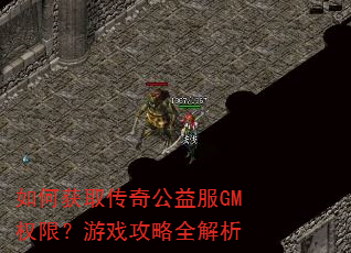 如何获取传奇公益服GM权限?游戏攻略全解析 如何获取传奇公益服GM权限?游戏攻略全解析