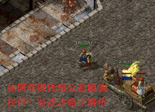 如何获取传奇公益服GM权限?游戏攻略全解析 如何获取传奇公益服GM权限?游戏攻略全解析
