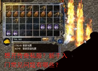 想开传奇私服?新手入门常见问题有哪些? 想开传奇私服?新手入门常见问题有哪些?