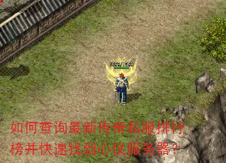 如何查询最新传奇私服排行榜并快速找到心仪服务器? 如何查询最新传奇私服排行榜并快速找到心仪服务器?
