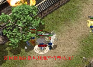 如何根据团队风格选择传奇私服? 如何根据团队风格选择传奇私服?