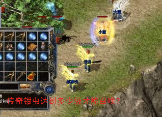 传奇钳虫达到多少级才能召唤? 传奇钳虫达到多少级才能召唤?