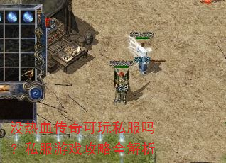 没热血传奇可玩私服吗?私服游戏攻略全解析 没热血传奇可玩私服吗?私服游戏攻略全解析
