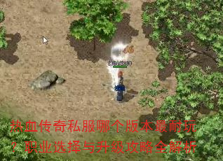 热血传奇私服哪个版本最耐玩?职业选择与升级攻略全解析 热血传奇私服哪个版本最耐玩?职业选择与升级攻略全解析