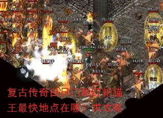 ���Ŵ��������ˢ����è�����ص����ģ�����
